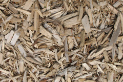 biomass boilers Capel Llanilltern